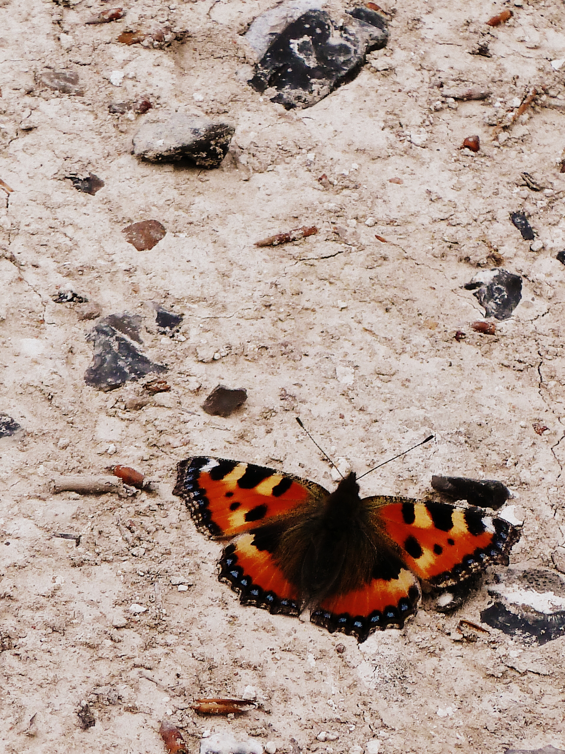 p1050086